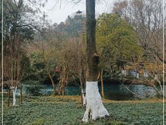 -花溪公园