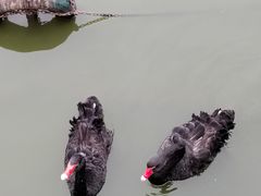 -无锡动物园·太湖欢乐园