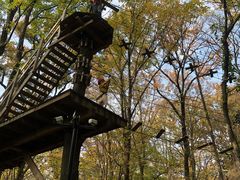 景点-WeLope紫金山探险公园