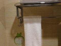 -维也纳国际酒店·上海虹桥火车站国家会展中心店