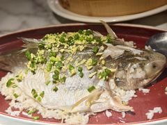 马友鱼蒸饭-钟菜·粤菜点心·宴请(海上世界·汇港二期店)