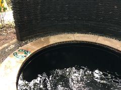 -中铁花水湾温泉酒店(大邑店)