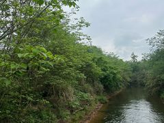 -白鹭湾湿地公园