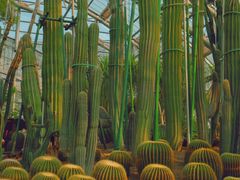-南山植物园