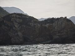 -鹿嘴山庄