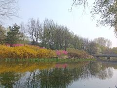 -大望京公园