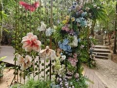 -七仙岭温泉国家森林公园