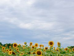 -苏州湾体育公园