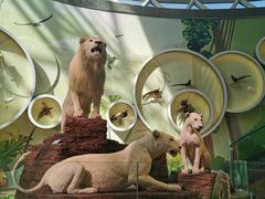 -陕西自然博物馆