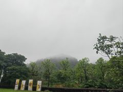 -南丹山森林王国