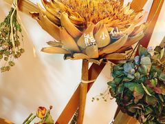 -植物学家的女儿(北马道巷店)