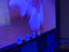-唱吧麦颂KTV(松江五龙商业广场店)
