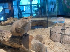 -昆明大悦城未来动物城(螺蛳湾中心店)