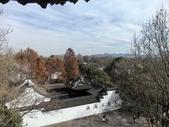 -西溪国家湿地公园