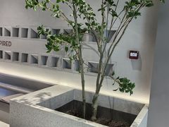 -喜茶(振华商厦店)
