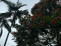 -中国科学院西双版纳热带植物园