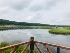 -塞罕坝国家级自然保护区