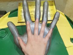 -信不信由你博物馆