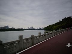 -南湖大桥