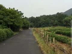 -钱江新城灯光秀