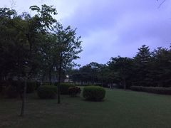 iphone_upload_pic-白鹭洲公园