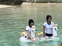 -重庆海昌加勒比海水世界