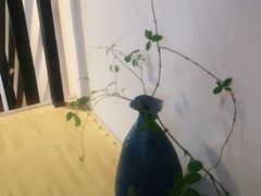 -坂田手造文化街