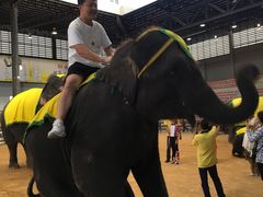 -东芭乐园