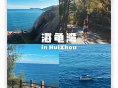 -广东惠东海龟国家级自然保护区