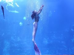 -太平洋海底世界