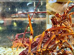 -璞御·海鲜·雪花牛肉局(宾水西道店)