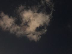 -顽啤熊·酒客酒馆(苏城夜景必选店)