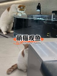 -蚂蚁造型俱乐部