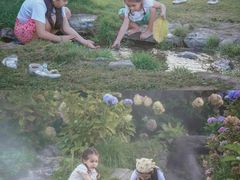 -猫米花园