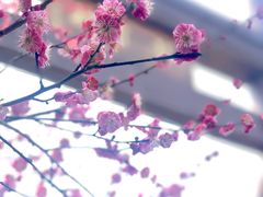 -国生茶庄·地道农家菜团建活动