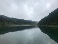-武陵山森林公园