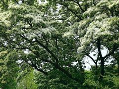 -国家植物园南园