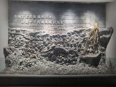 -平原博物院