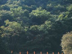 -少华山国家森林公园