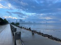 -深圳湾公园(南山区)