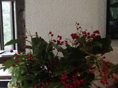 -Ginger(兴国路店)