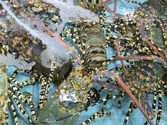 -渔民新村(番禺总店)