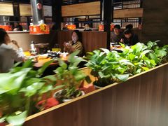 大堂-山之屋炭火烧肉·生啤畅饮(大朗万科中央公园店)