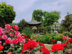 -三里河公园