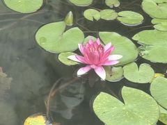-王阳明故居