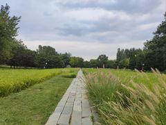 -北坞公园