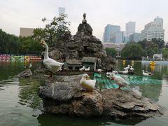 -团结湖公园
