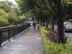 -金鸡山公园