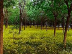 -东郊湿地公园