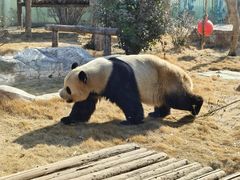 -泉城欧乐堡梦幻世界